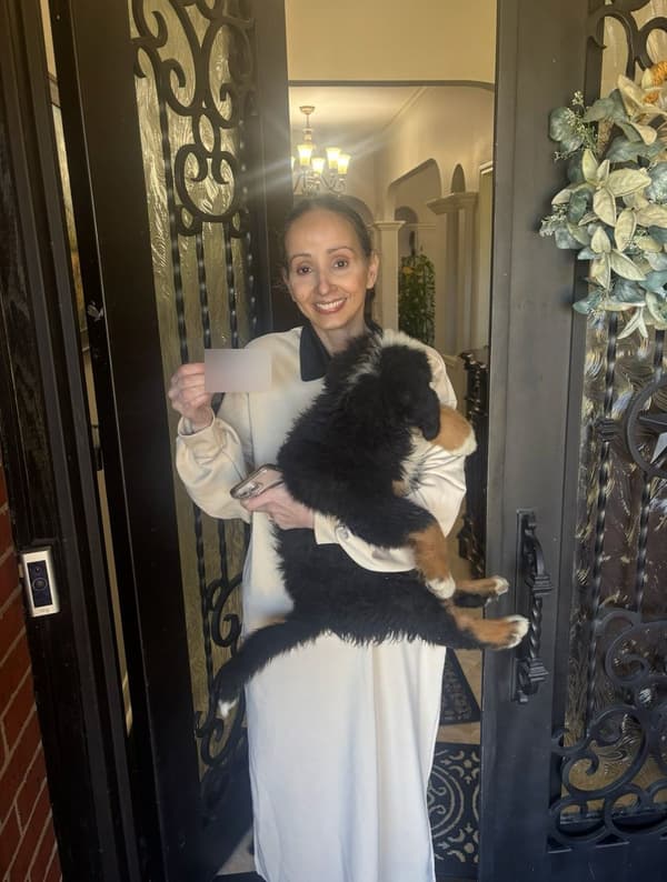 Customer photo of Bernese Mountain Dog puppy from Colin M.