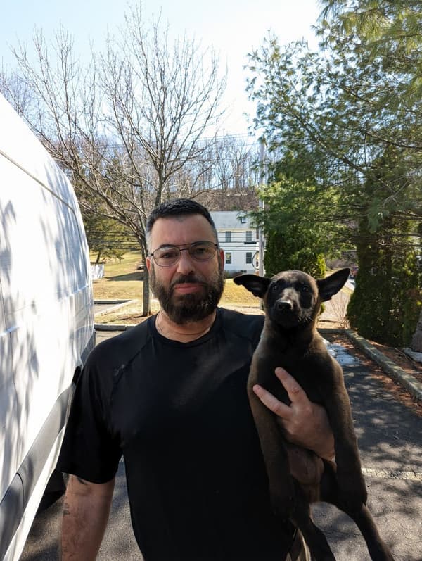 Customer photo of Belgian Malinois puppy from Ken G.