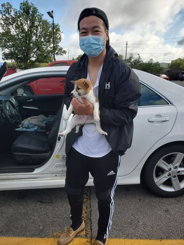 Customer photo of Shiba Inu puppy from Christopher G.