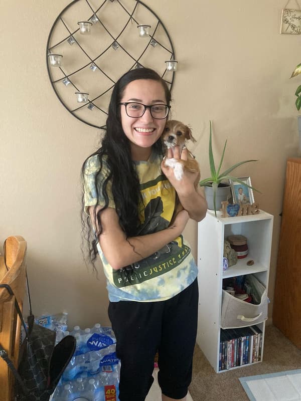 Customer photo of Chorkie puppy from Harley C. 