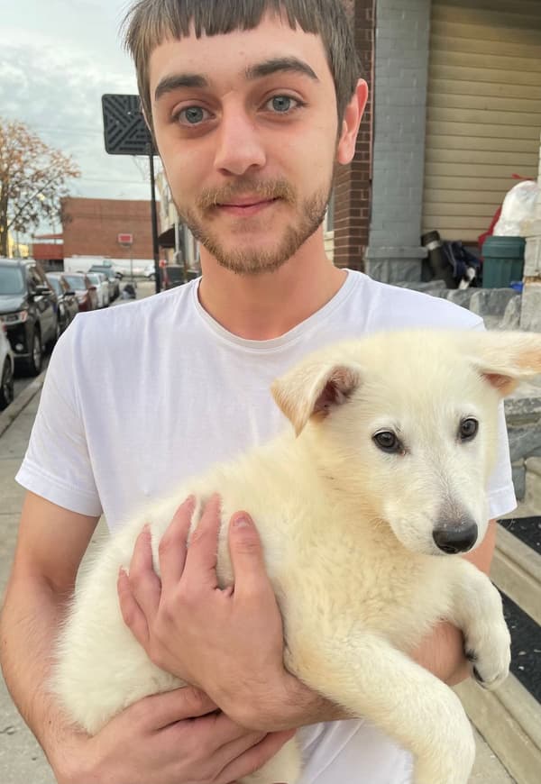 Customer photo of German Shepherd puppy from Angelo R.