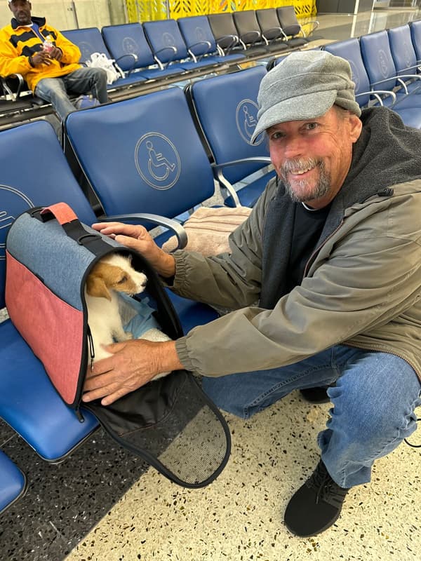 Customer photo of Jack Russell Terrier puppy from Marty B.