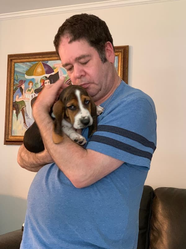 Customer photo of Basset Hound puppy from Suzanne & Howard R.