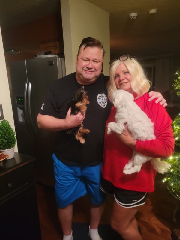 Customer photo of Yorkshire Terrier - Yorkie puppy from Dave H. 