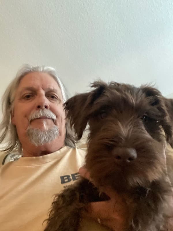 Customer photo of Schnauzer, Miniature puppy from Bruce R.
