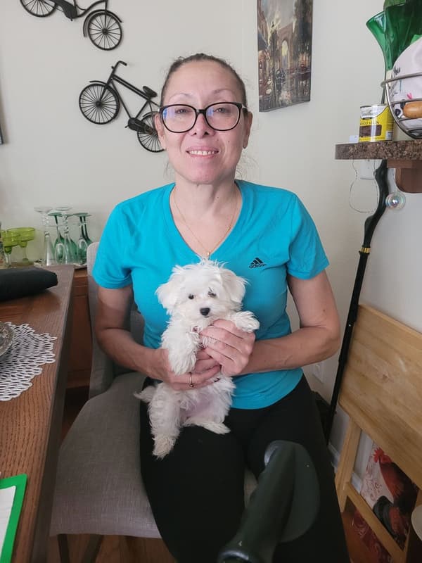 Customer photo of Maltese puppy from Monique H.