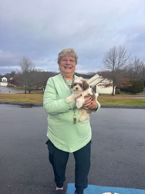 Customer photo of Havanese puppy from Mary M.