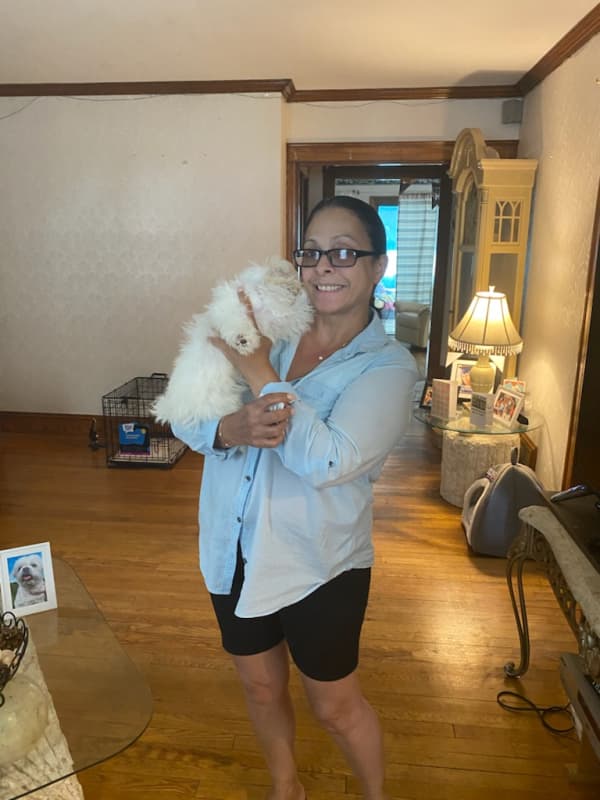 Customer photo of Shichon puppy from Jeannie S.