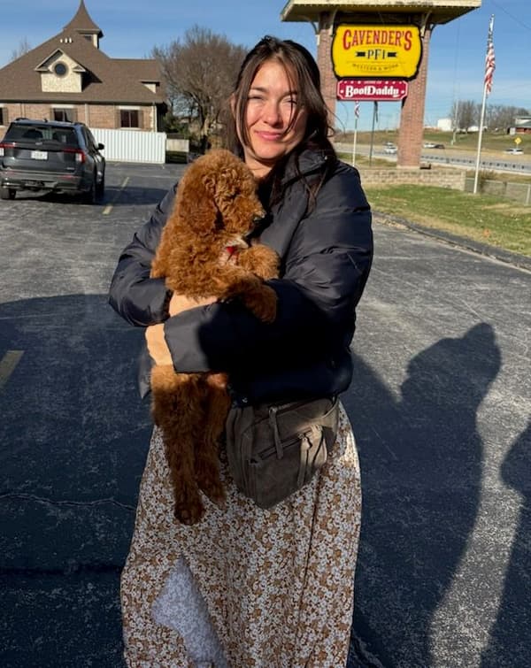 Customer photo of Poodle, Standard puppy from Breanna P.