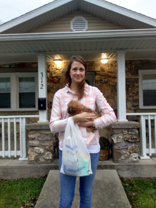 Customer photo of Shih-Poo - Shihpoo puppy from Adriana P.