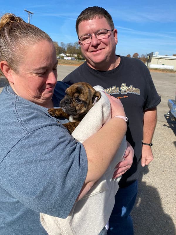 Customer photo of Beabull puppy from Jennifer N. 