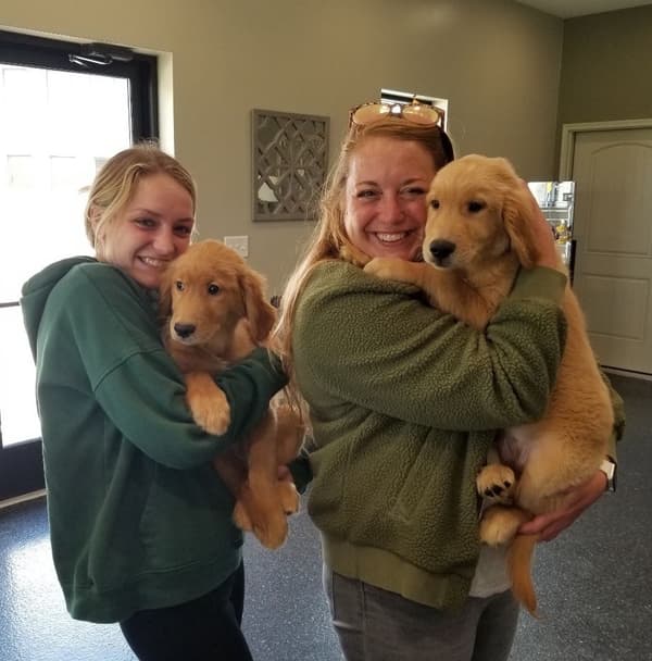 Customer photo of Golden Retriever puppy from Carmen P.