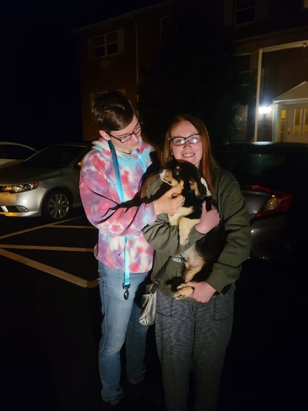 Customer photo of Corgi, Pembroke Welsh puppy from Stephanie V.