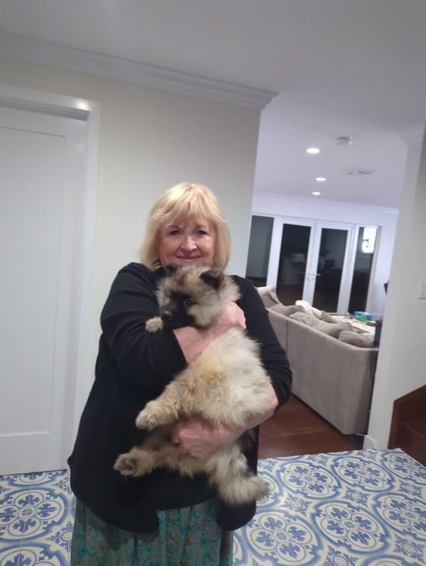 Customer photo of Keeshond puppy from Heather C.