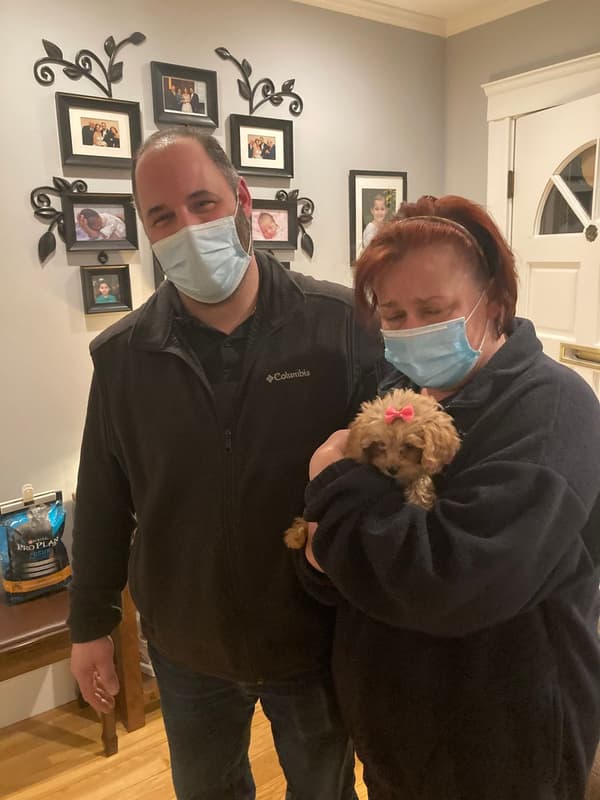 Customer photo of Cavapoo puppy from David V.