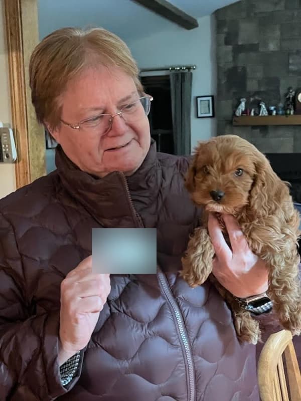 Customer photo of Cavapoo puppy from Colette S.
