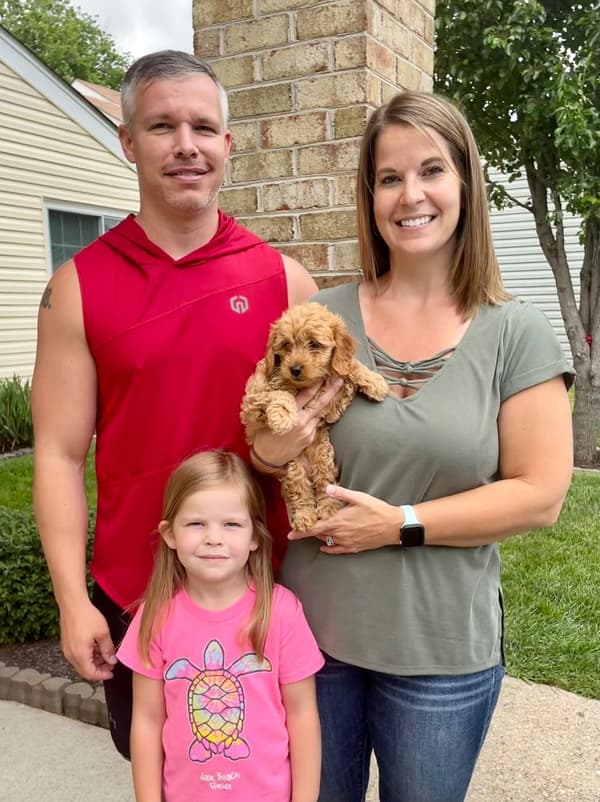 Customer photo of Goldendoodle, Mini puppy from Katie B.