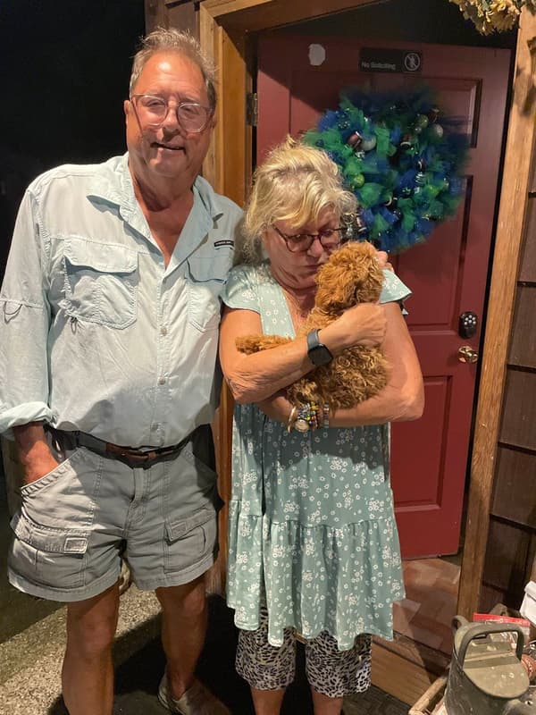 Customer photo of Poodle, Toy puppy from Connie R.
