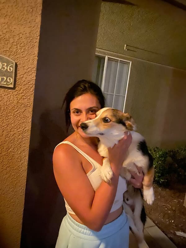 Customer photo of Corgi, Pembroke Welsh puppy from Jessica A.