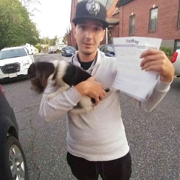 Customer photo of Beagle puppy from Nathan P.