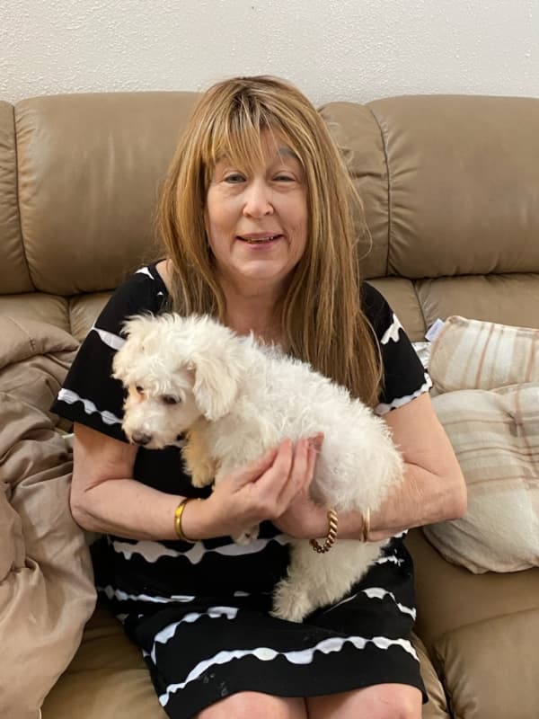 Customer photo of Bichon Frise puppy from Lynn B.