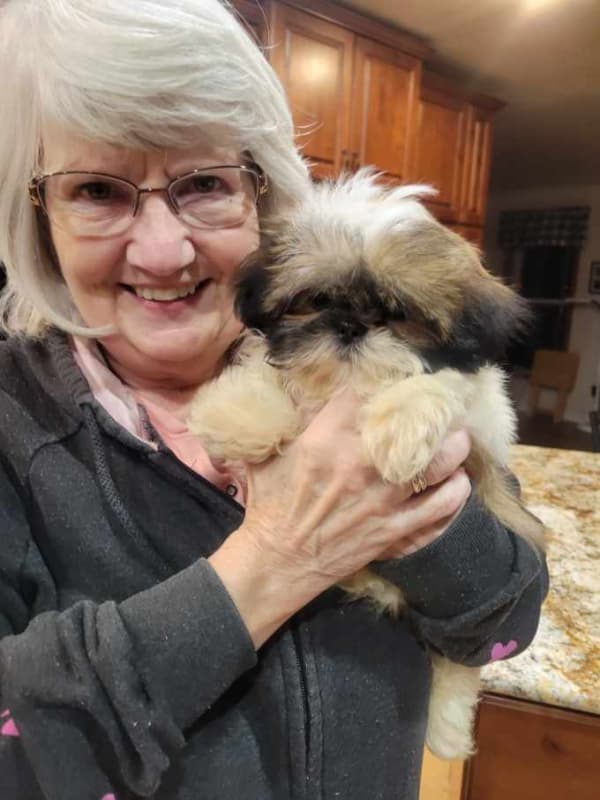 Customer photo of Shih Tzu puppy from Carol H.
