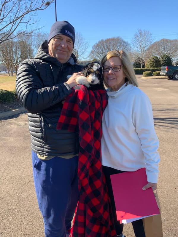 Customer photo of Bernedoodle, Mini puppy from Mary C.
