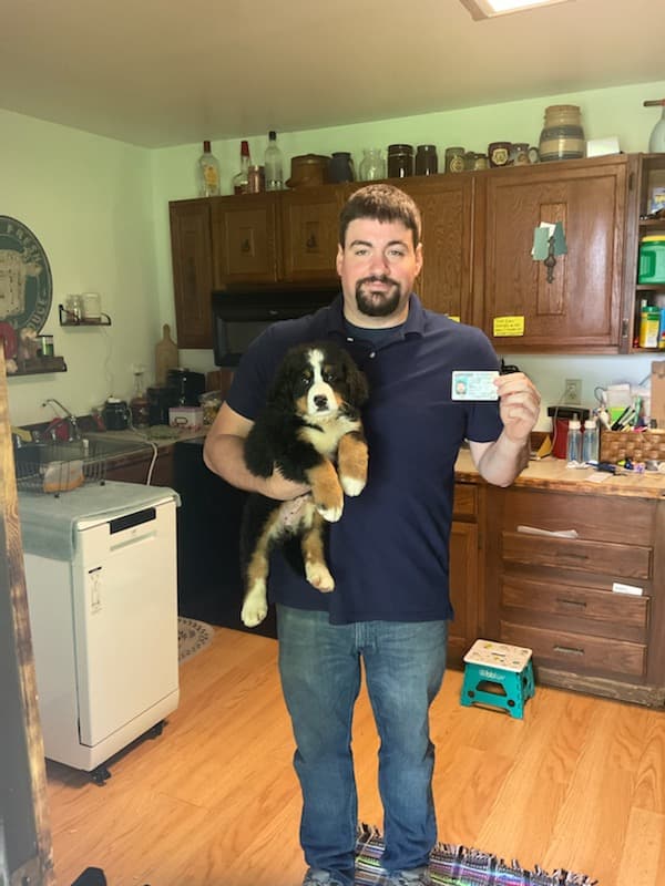 Customer photo of Bernese Mountain Dog puppy from Kevin P.
