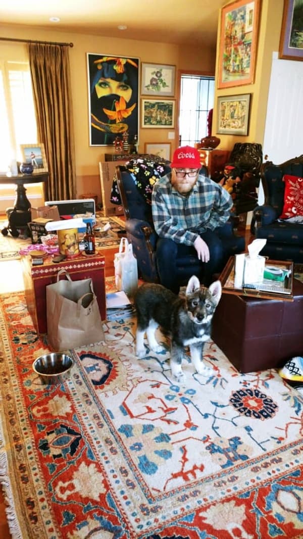 Customer photo of Wolf Hybrid puppy from Cissy B.