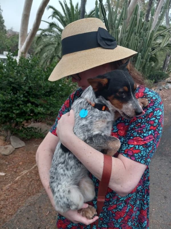 Customer photo of Australian Cattle Dog/Blue Heeler puppy from Catherine M.
