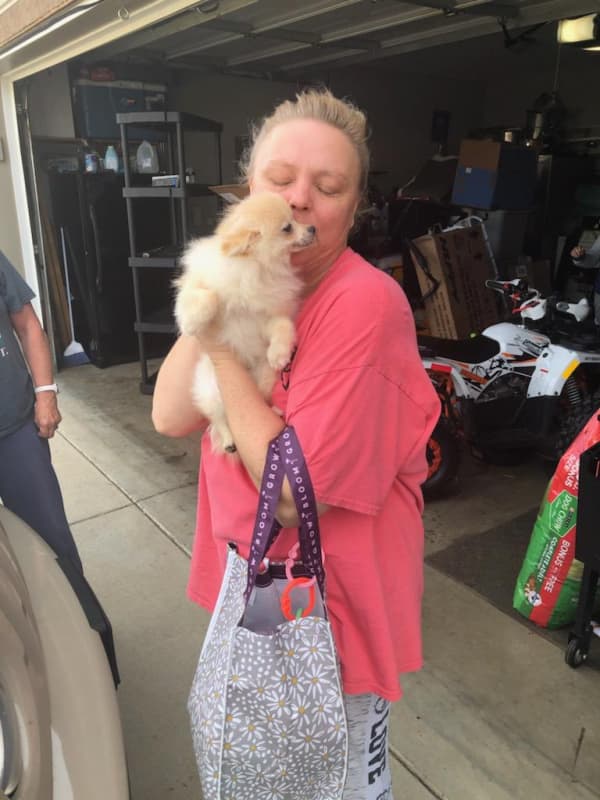 Customer photo of Pomeranian puppy from Stephanie T.