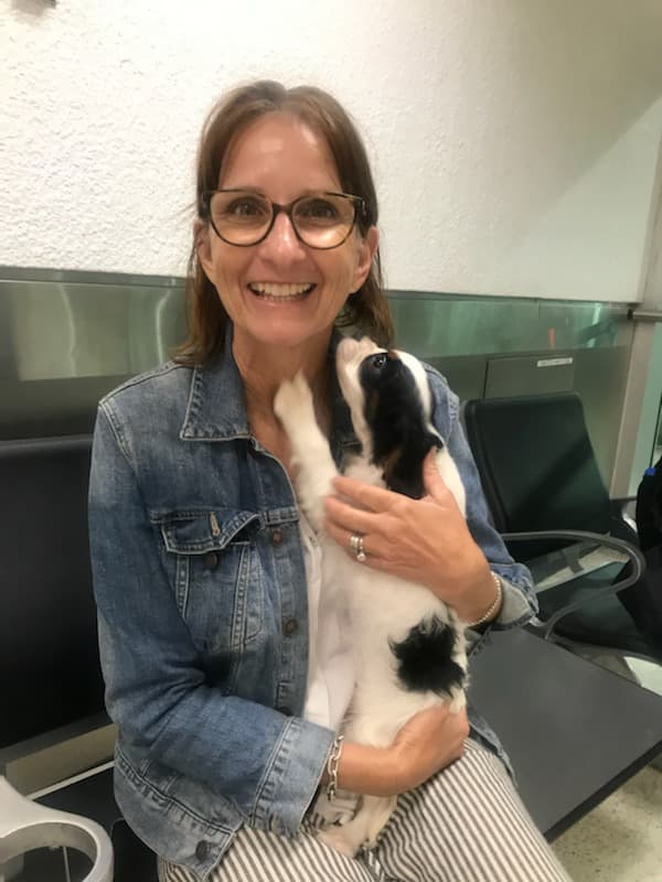 Customer photo of Cavalier King Charles Spaniel puppy from Joy S.