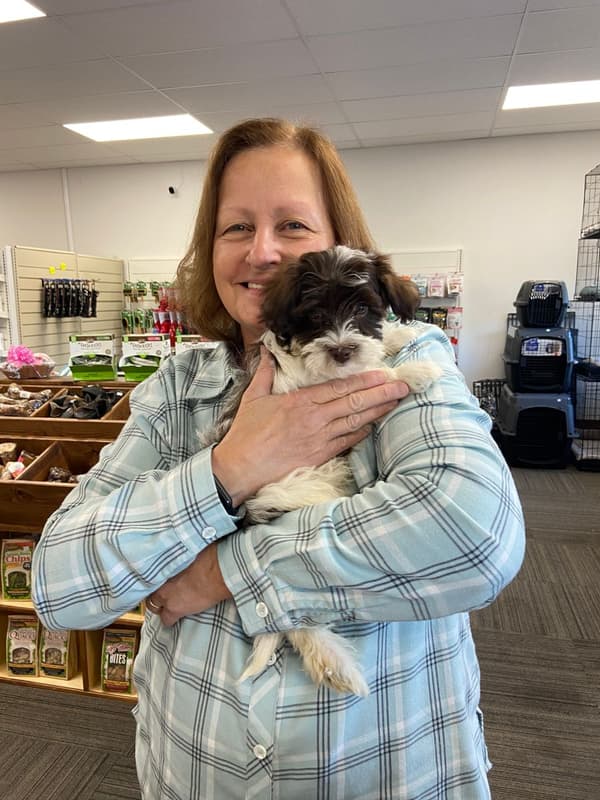 Customer photo of Havanese puppy from Bonnie T.
