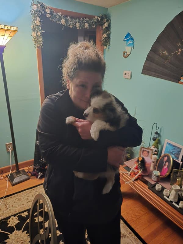 Customer photo of Miniature Australian Shepherd puppy from Gina B.