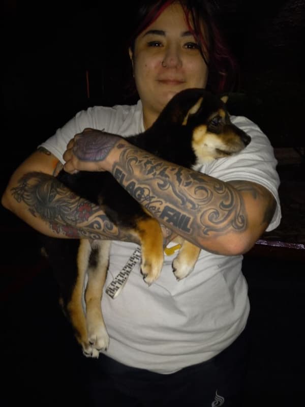 Customer photo of Shiba Inu puppy from Sondra P.