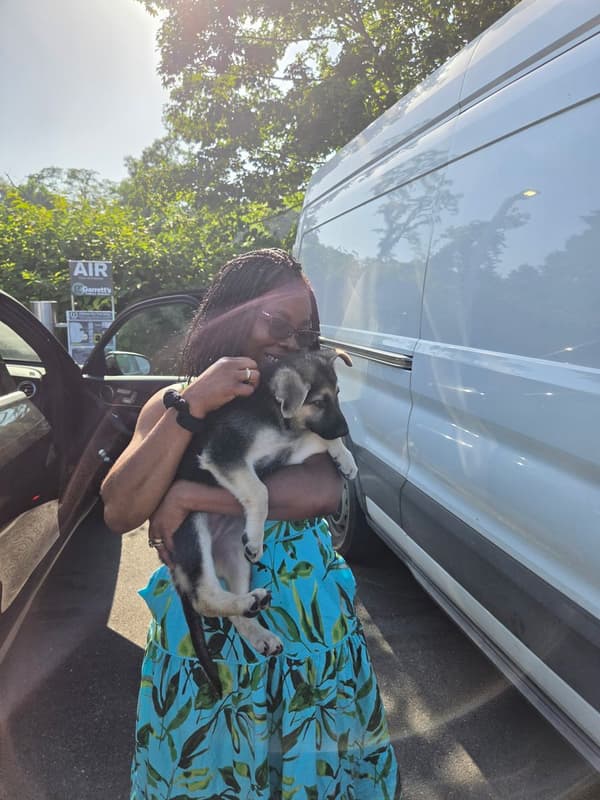 Customer photo of German Shepherd puppy from Kawe D.