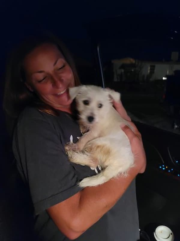 Customer photo of West Highland White Terrier - Westie puppy from Rochelle E.