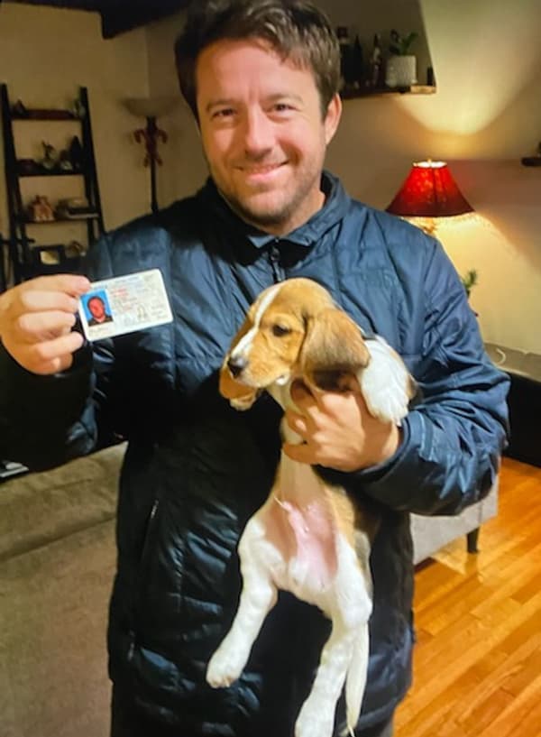 Customer photo of Beagle puppy from Olivia P.