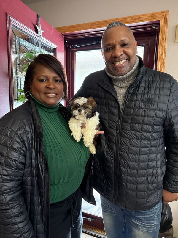 Customer photo of Shih Tzu puppy from Sibyl W.