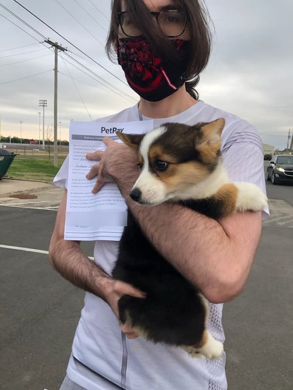 Customer photo of  puppy from Christopher C.