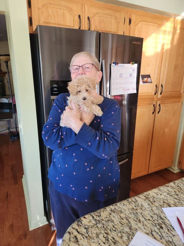 Customer photo of Bich-Poo - Bichpoo puppy from Mary D.