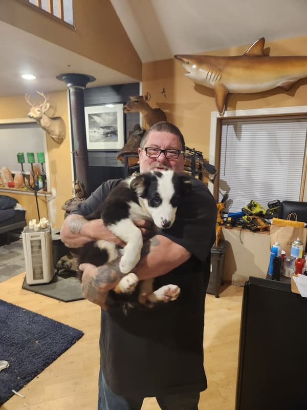 Customer photo of Australian Shepherd puppy from Sean G.