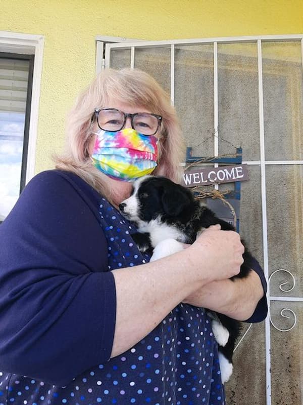 Customer photo of Miniature Australian Shepherd puppy from Linda S.