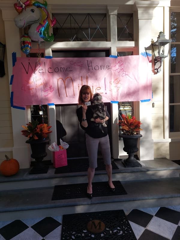 Customer photo of Sheepadoodle puppy from Rick M.