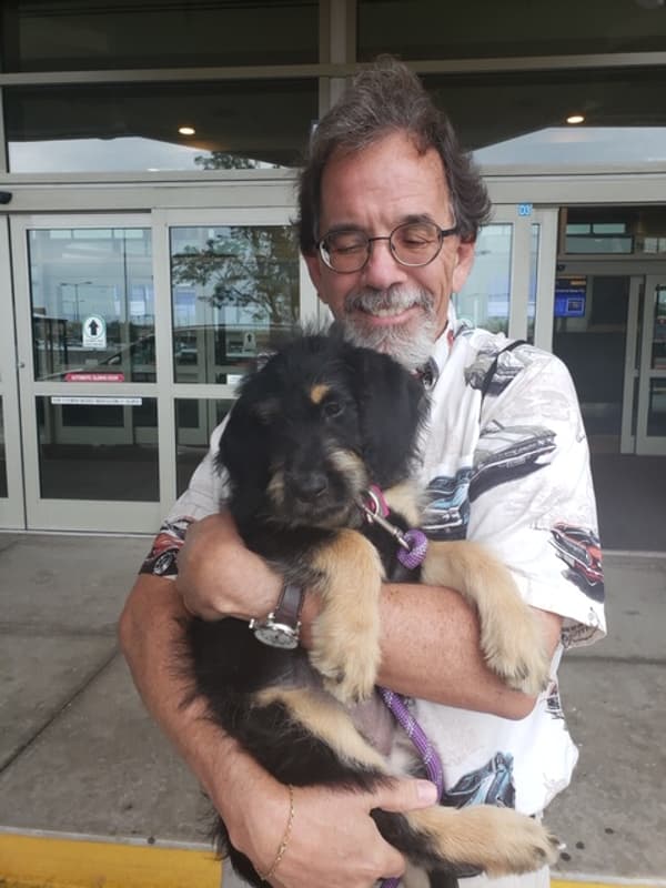 Customer photo of Labradoodle puppy from Glenn B.