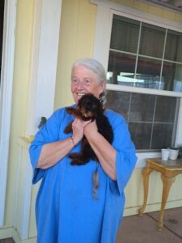 Customer photo of Poodle, Toy puppy from Judie P.