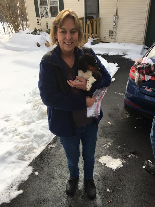Customer photo of Dachshund puppy from Tammy L.