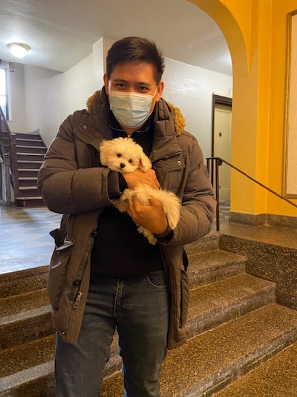 Customer photo of Bichon Frise puppy from Edward R.