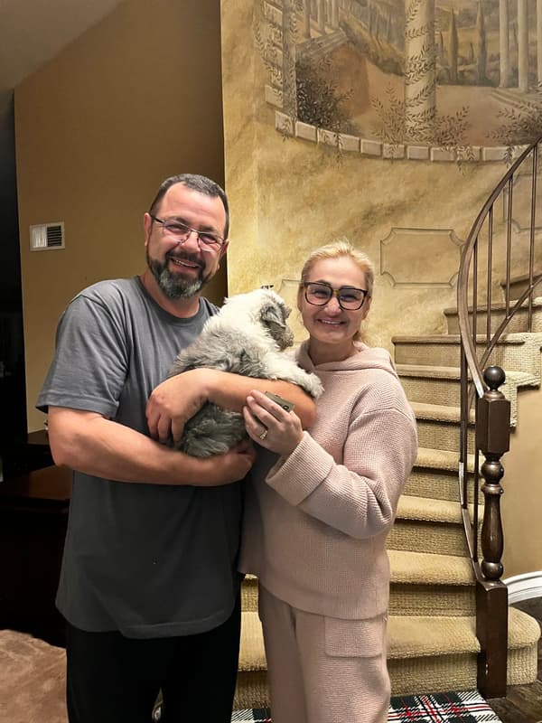 Customer photo of Sheepadoodle puppy from Ionela S.