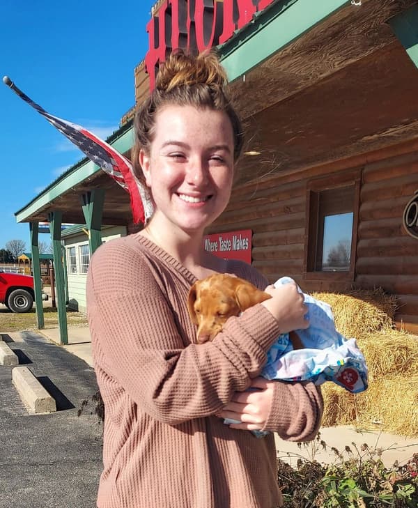 Customer photo of Dachshund, Mini puppy from Carly B.